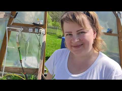 Видео: КАПЕЛЬНЫЙ ПОЛИВ "ЖУК" обзор после двух лет эксплуатации