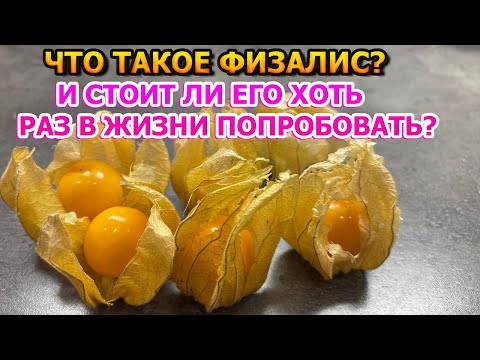 Видео: Что собой представляет плод - Физалис и стоит ли его покупать?