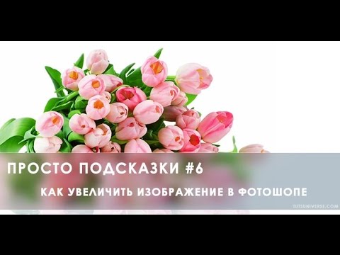 Видео: Как увеличить изображение в Фотошопе. Просто подсказки #6