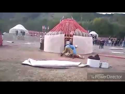 Видео: Боз Уй тигуу Рекорд