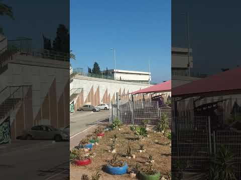 Видео: 20 сентября 2025 г.