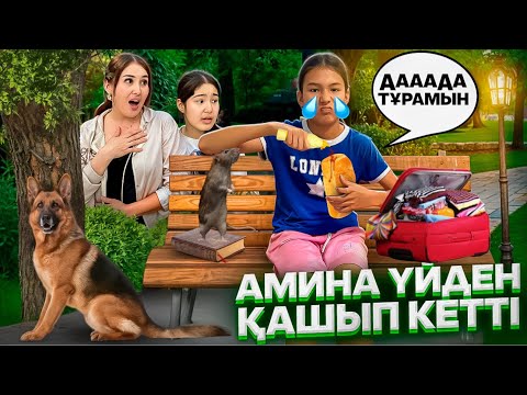 Видео: АМИНА ҮЙДЕН ҚАШЫП КЕТТІ😭🤦‍♀️/КІММЕН⁉️ҚАЙЖАҚТА ТҰРАДЫ⁉️🤯#trend