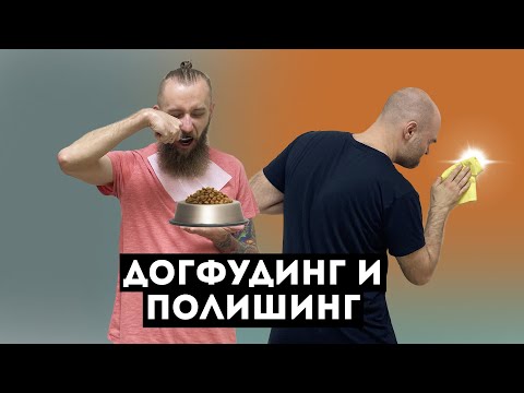 Видео: Кибирд (Keybeard) #31 – Догфудинг и полишинг