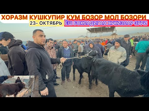 Видео: ХОРАЗМ КУШКУПИР КУМ БОЗОР МОЛ БОЗОРИ НАРХЛАР ЯНА АРЗОН БУЛДИ 23-октябрь 2025 г.