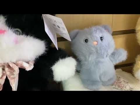 Видео: Красота в ваш дом!