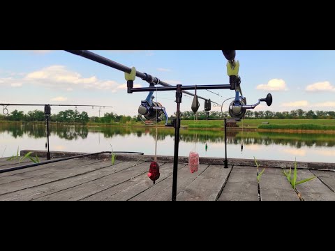 Видео: ОТЛИЧНАЯ РЫБАЛКА НА КАРПА С НОЧЕВКОЙ. КАРПФИШИНГ VS ФЛЭТ.