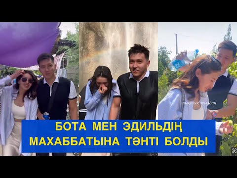 Видео: БОТА МЕН ЭДИЛЬДІҢ МАХАББАТЫНА ТӘНТІ БОЛДЫ ҚЫРҒЫЗ ЕЛІ! Бір болайық!#бірболайық