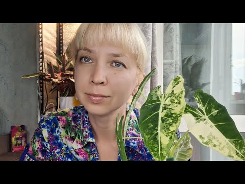 Видео: Реанимация алоказии Фрайдек