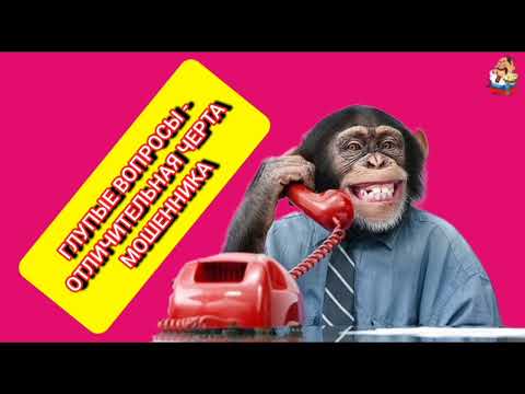 Видео: ГЛУПЫЕ ВОПРОСЫ - ОТЛИЧИТЕЛЬНАЯ ЧЕРТА МОШЕННИКА.