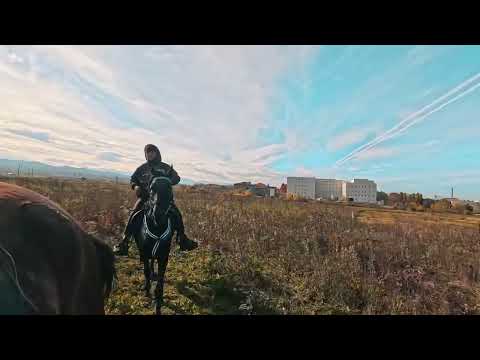 Видео: Покатушки 