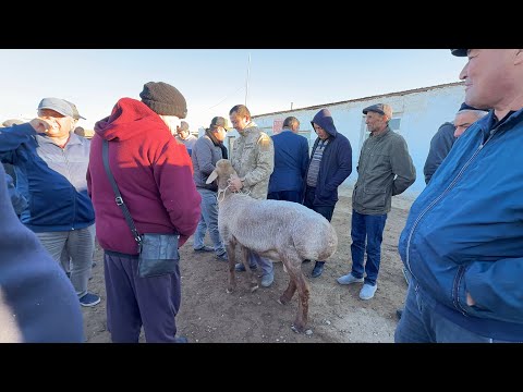 Видео: БЕРУНИЙ КУЙ КВЧКОР БОЗОРИ 4 КИСМ 05.10.2025