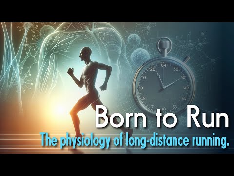 Видео: Физиология быстрого бега на более длительный срок: VO2max, лактатный порог и экономичность бега