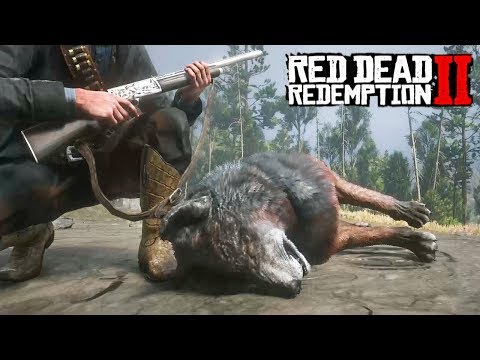 Видео: Легендарные ВОЛК и ОЛЕНЬ Охота в RDR 2