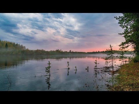 Видео: Открытие водного сезона 2025, Скалы-Каменки, 31 мая 2025 года