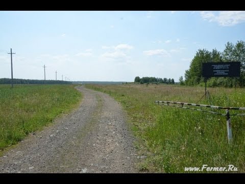 Видео: Фермер Бухаровский  Дорога, электричество, строительство