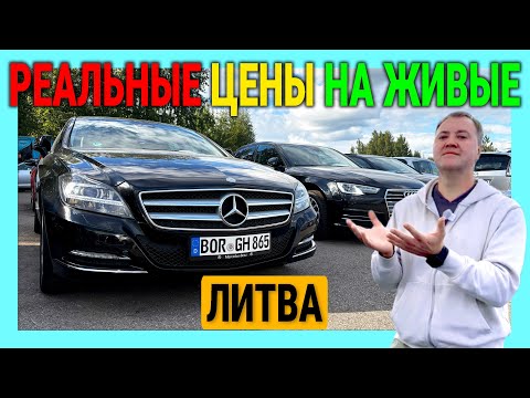 Видео: 🎉🚙 Авторынок Литвы. 😍🚘  Ищем ЖИВЫЕ автомобили. Новинки и самые интересные предложения на БМВ и АУДИ