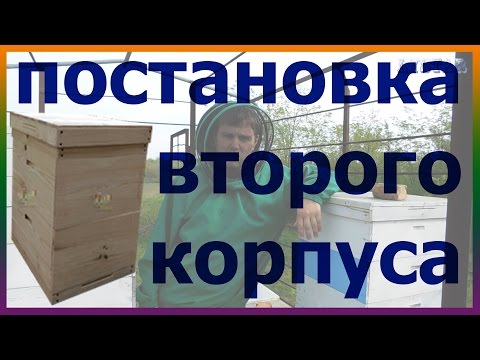Видео: Постановка второго корпуса. Расширение пчелиного гнезда корпусом. Многокорпусное содержание пчел