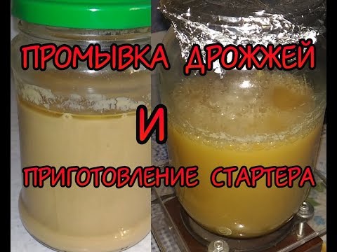 Видео: Промывка пивных дрожжей и приготовление стартера.