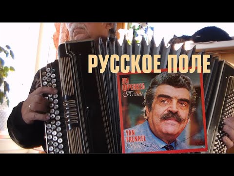 Видео: Русское поле _на баяне