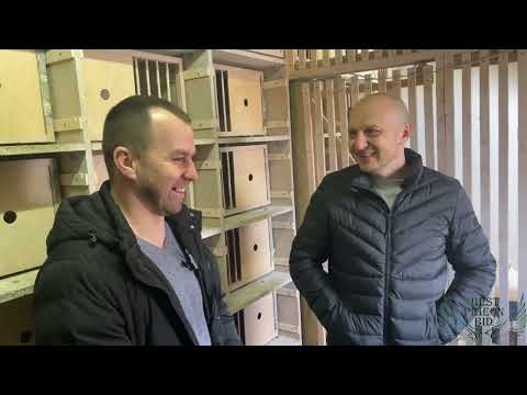 Видео: Ігор Мосанюк - показ голубів