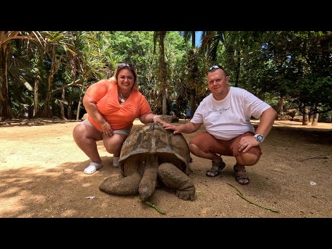 Видео: Маврикий. Черепахи, крокодилы - тропический рай в парке La Vanille.