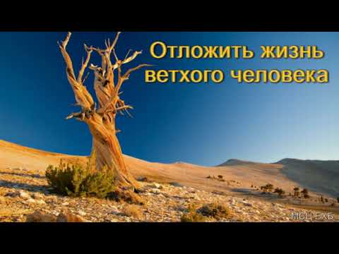 Видео: "Отложить жизнь ветхого человека". А. Н. Оскаленко. Часть I. МСЦ ЕХБ.