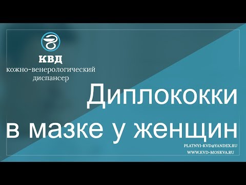 Видео: 589  Диплококки в мазке у женщин