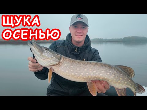 Видео: ЛОВЛЯ ЩУКИ ОСЕНЬЮ. ПРИМАНКИ НА ЩУКУ. РЫБАЛКА НА СПИННИНГ