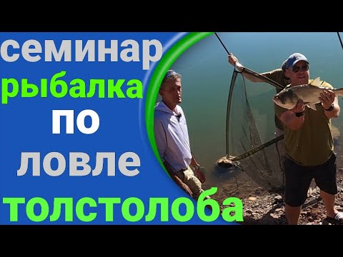 Видео: Семинар по ловле толстолобика. Рыбалка и отдых на озере Рам.
