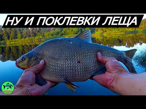 Видео: РЫБАЛКА на ФИДЕР на реке западная Двина. Обзор эхолота Lacku LH-1B.