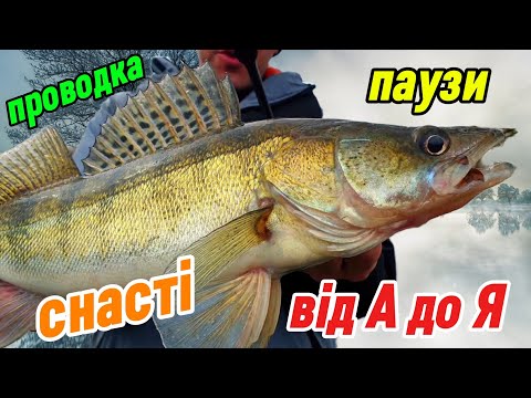 Видео: ❌ НЕ КУПУЙ ВІБИ НА СУДАКА ПОКИ НЕ ПОДИВИШСЯ ЦЕ ВІДЕО!