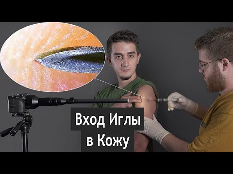 Видео: Крупный План Повседневных Объектов (Макросъемка с Увеличением x1000)