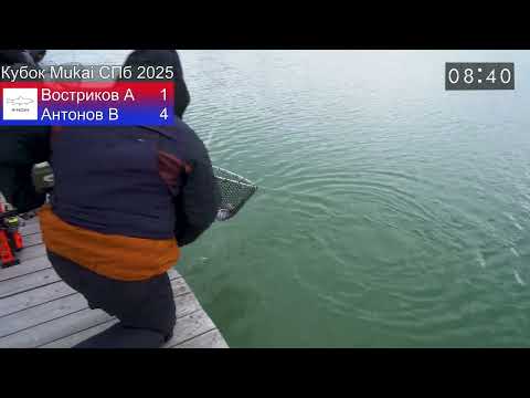 Видео: Плохие крючки или кривые руки? Кубок Mukai 2025. Ловля форели на колеблющиеся блесны.