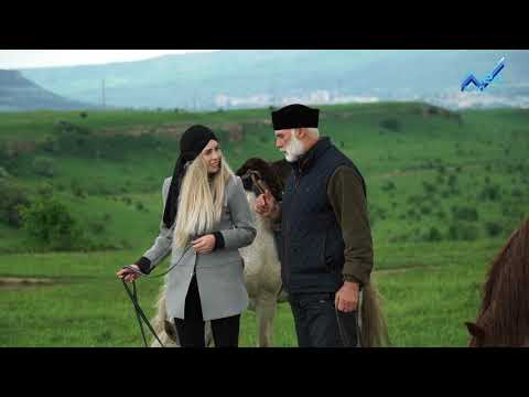 Видео: Республика традиций - Объездка лошадей (11.06.2017)