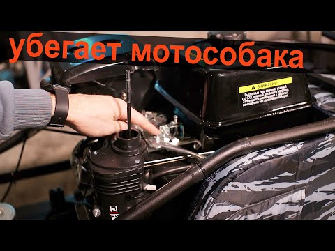 Видео: Лайфхак для мотобуксировщика. Поводок для мотособаки.