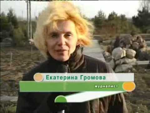 Видео: "Поместье - 2008". Сад Зимой 3