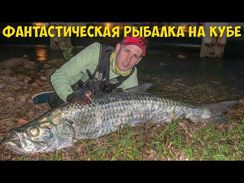 Видео: ФАНТАСТИЧЕСКАЯ РЫБАЛКА НА КУБЕ С БЕРЕГА | SHORE FISHING CUBA VARADERO
