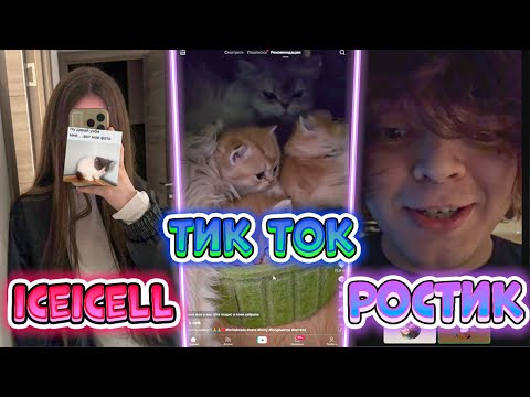 Видео: ЛИЗА смотрит ТИК ТОКИ / общается с РОСТИКОМ / смотрит КЛИПЫ