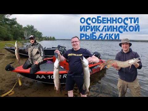 Видео: Рыбалка на Ириклинском водохранилище  #рыбалка #щука #волжанка #друзья #ириклинское_водохранилище 