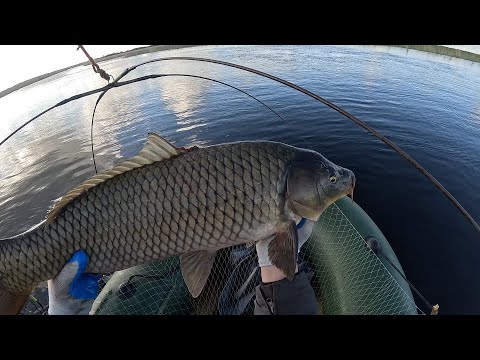Видео: САЗАНЫ НА ПАУК. ДУГИ ХОДУНОМ ОТ ЭТИХ КАБАНОВ!!! ВЕСЕННЯЯ РЫБАЛКА НА ПАУК-ПОДЪЁМНИК...