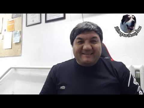 Видео: Инбридинг, как зло. Взгляд с другой стороны. Дело  для специалистов.