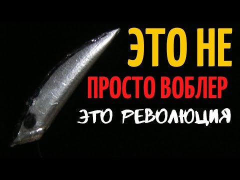 Видео: ИДЕЯ ЭТОГО  ВОБЛЕРА РВЁТ ШАБЛОН. МОЗГИ И РЫБОЛОВНЫЕ УСТОИ