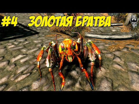 Видео: Золотая братва - Skyrim SE с модами #4