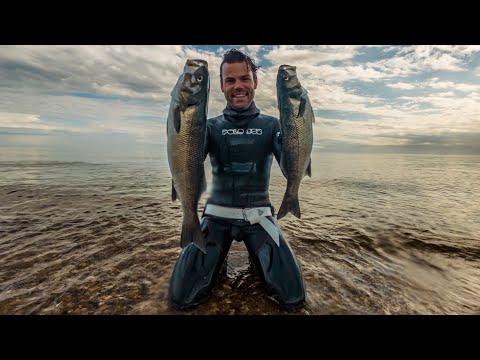 Видео: Обзор лучших моментов подводной охоты в Великобритании за 2023 год