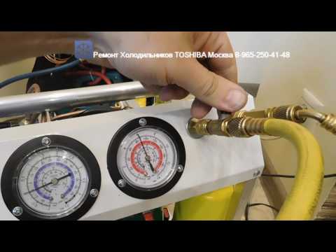 Видео: Ремонт Холодильника TOSHIBA 8-965-250-41-48 Москва GR-NF374K Чистый Японец