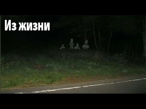 Видео: Из жизни, бытовые. Из жизни, бытовые. Страшные. Мистические. Творческие истории. Хоррор