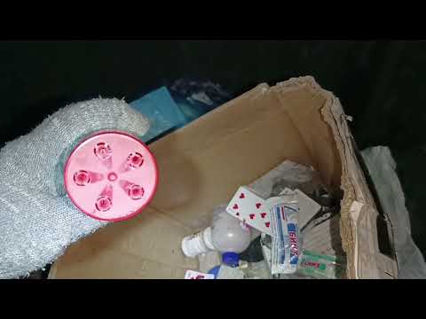Видео: 524.😫Тарантул в доме! 🚘🧐Поедем поглядим 🤓🚘