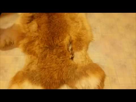 Видео: исправление дефектов меха, скорняжный шов.
