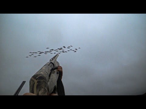Видео: ОХОТА НА ГУСЕЙ 2023. ВЫЕЗД 2. Goose Hunting. Осенняя охота. #hunt