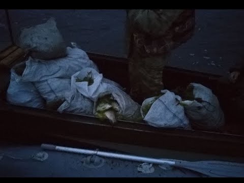 Видео: Браконьеры инспектора Белецкой Карачуновское водохранилище